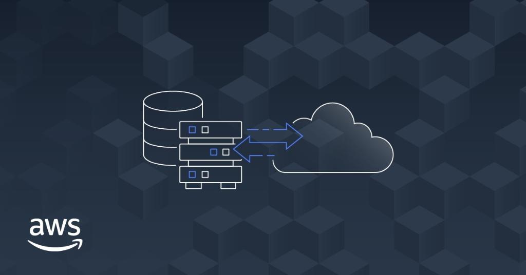 AWS Public Case Study: Elite Cloud Assists Archaeologist in Completing AWS Migration
