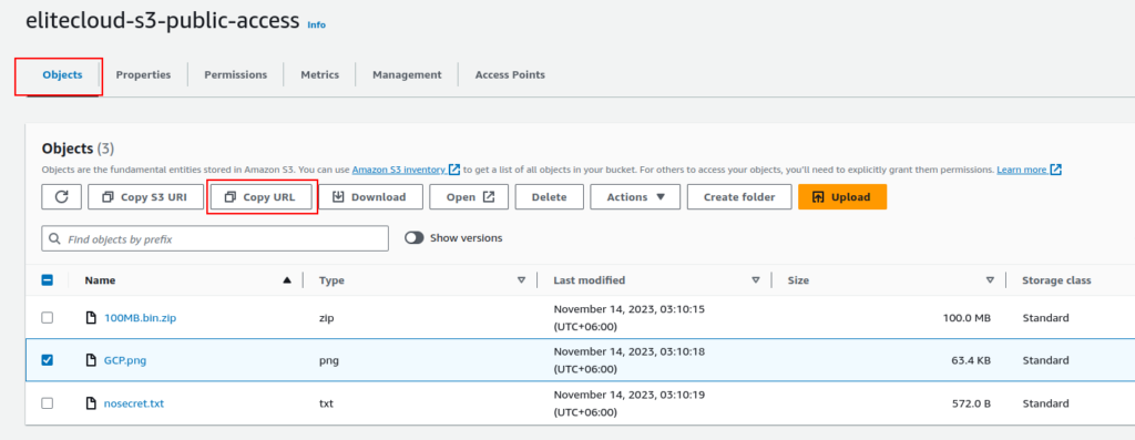Copying S3 object public URL to check public access