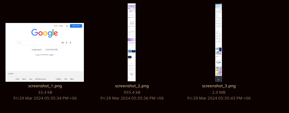 File Manager
