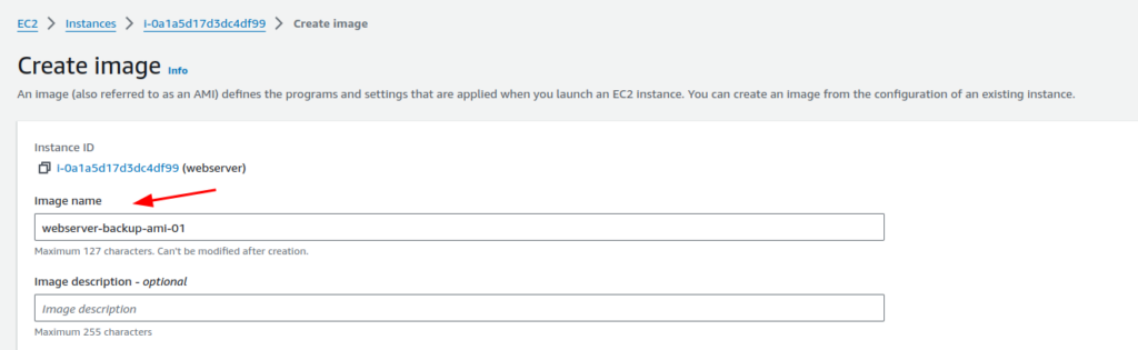 Creating AMI for ec2 backup