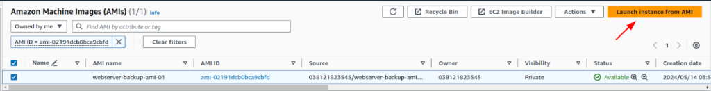Launching Instance from AMI