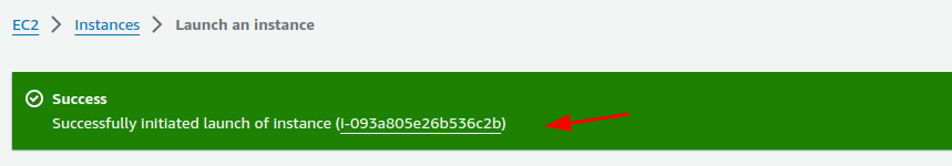 Successful launch of EC2 instance from AMI