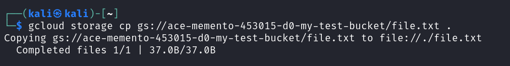 Downloading files from cloud storage bucket
