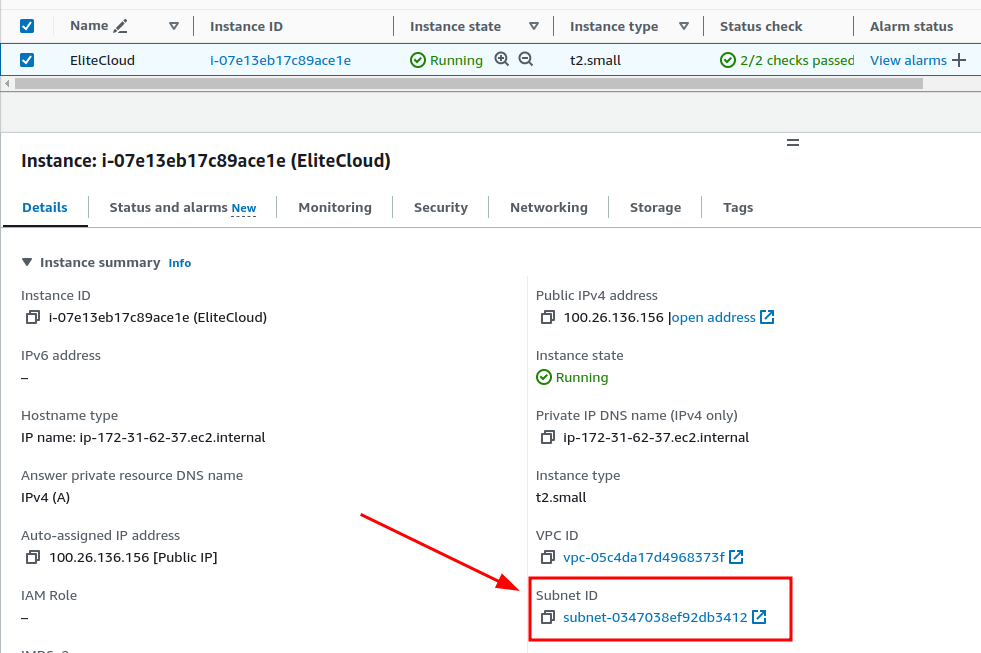 EC2 Instance: Details view