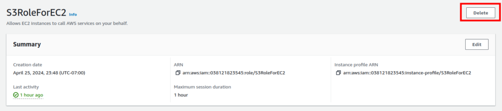 Deleting the IAM Role