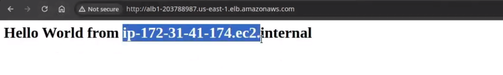 Confirming Load Balancer Between 2 instance