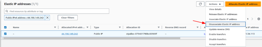 Disassociating Elastic IP