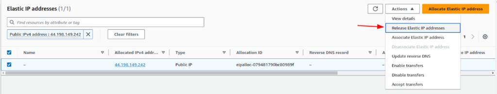 Releasing Elastic IP