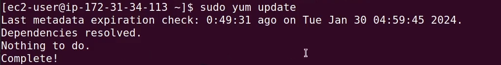 Updating system packages