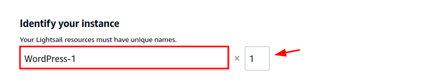 Create a WordPress Instance on AWS Lightsail: Naming the instance