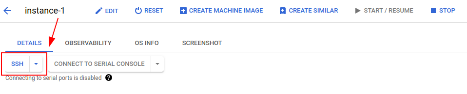 Connecting with the instance using SSH