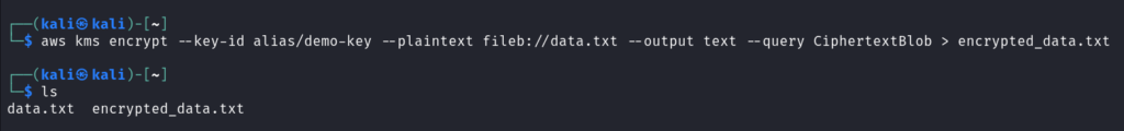Encrypting that file with kms