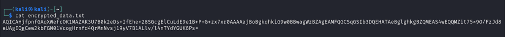 Viewing encrypted data