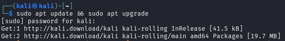 Updating system packages