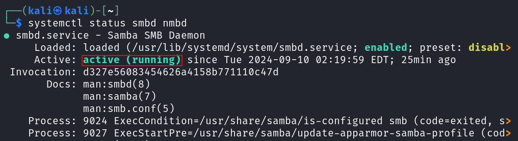 Checking if the SMB server is running properly