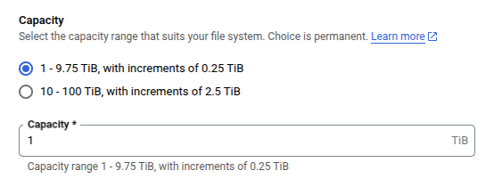 Setting up the storage capacity