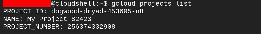 listing google projects 