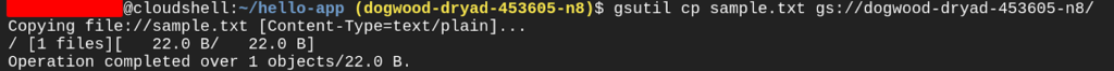 Copying files form cloudshell to cloud storage
