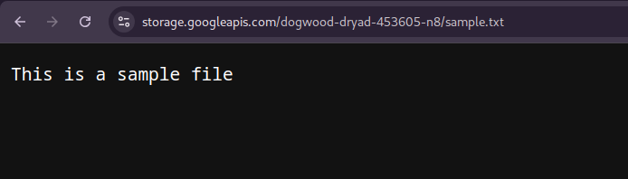 Accessing the file using web