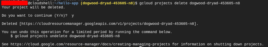 Deleting the entire project